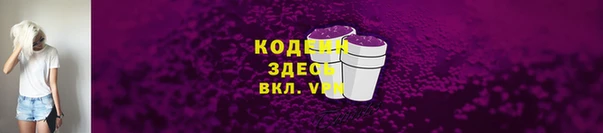 сатива Кулебаки