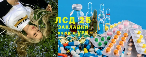 сатива Кулебаки