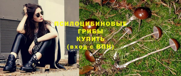 винт Кукмор