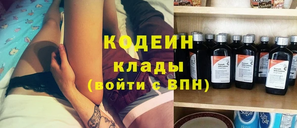 сатива Кулебаки