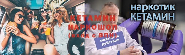 сатива Кулебаки
